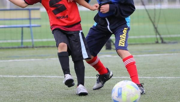 803-514753.jpg