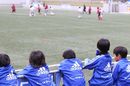 この季節に気をつけたい！【前編】インフルエンザとノロウイルス