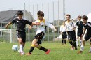 W杯優勝の秘訣！？ドイツ人がこだわる「ツバイカンプフ」とは