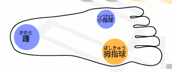 bosikyu.PNG