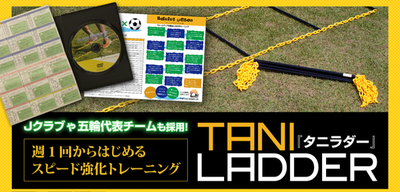 ladder2-thumb-600x289-4489-thumb-600x289-4490.png