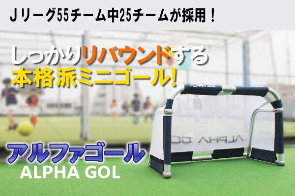 アルファゴールミニゴール.jpg