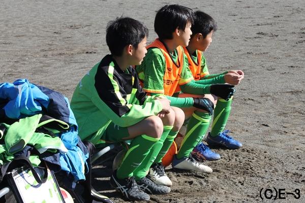 forestcup1.JPG