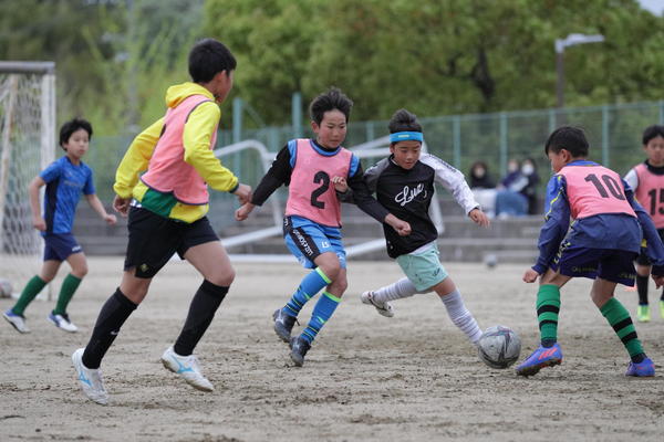 菴ｿ逕ｨ逕ｻ蜒・TSC_2733.JPG