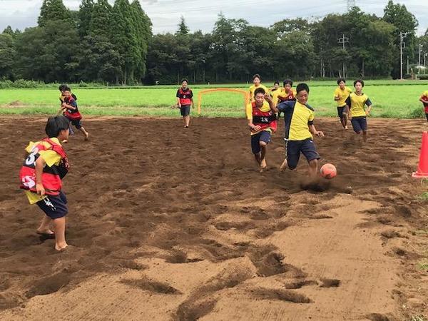 ミニゲーム【畑サッカー】.jpg