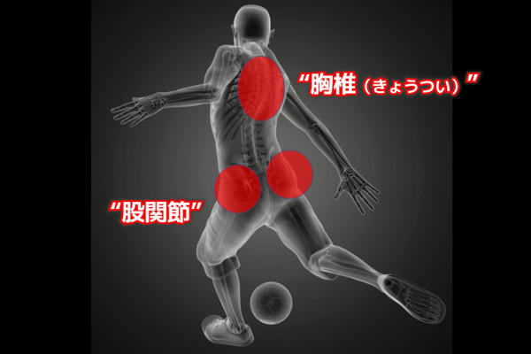fleximg-kokkaku.jpg