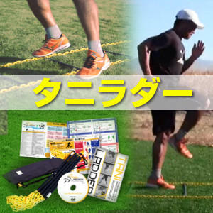 tani_bannerR300x300_02.jpg
