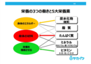 成長期のサッカー選手に必要な栄養がわかる！無料セミナー開催！
