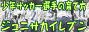 少年サッカー選手の育て方