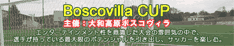 ボスコヴィラカップ