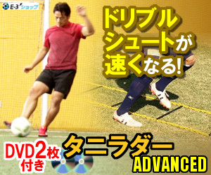 タニラダー サッカー用ラダートレーニング