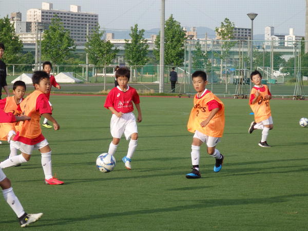 P5290056.JPG